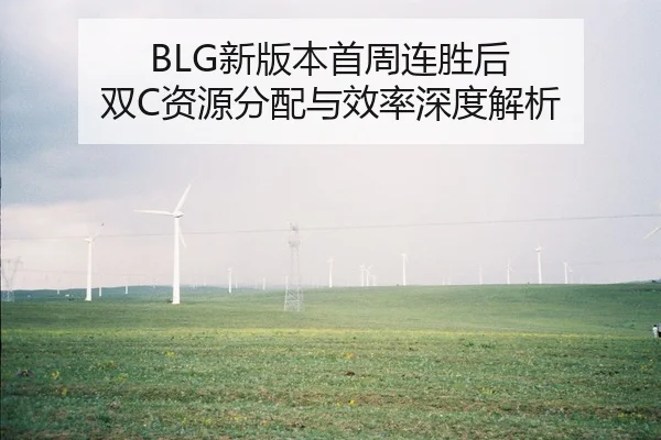 BLG新版本首周连胜后 双C资源分配与效率深度解析